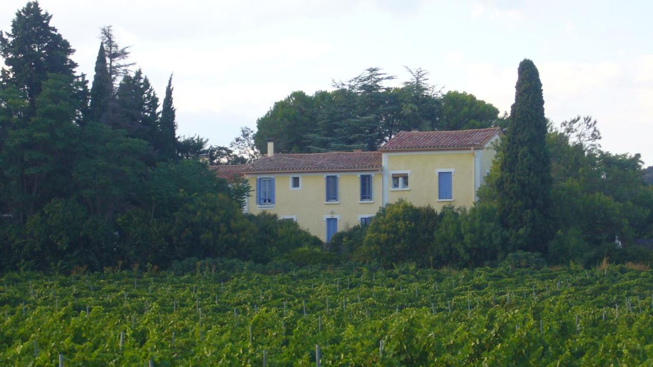 Domaine Du Siestou Wine Resort & Spa Laure-Minervois Exterior photo